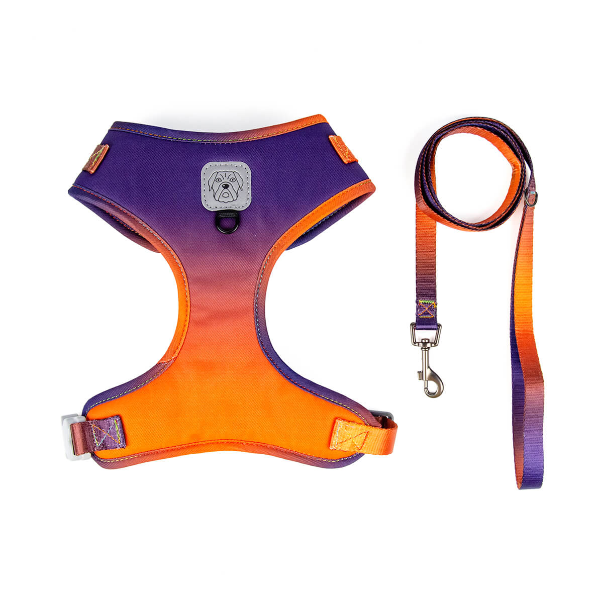 Gradient Ramp Dog Harness and Leash Set