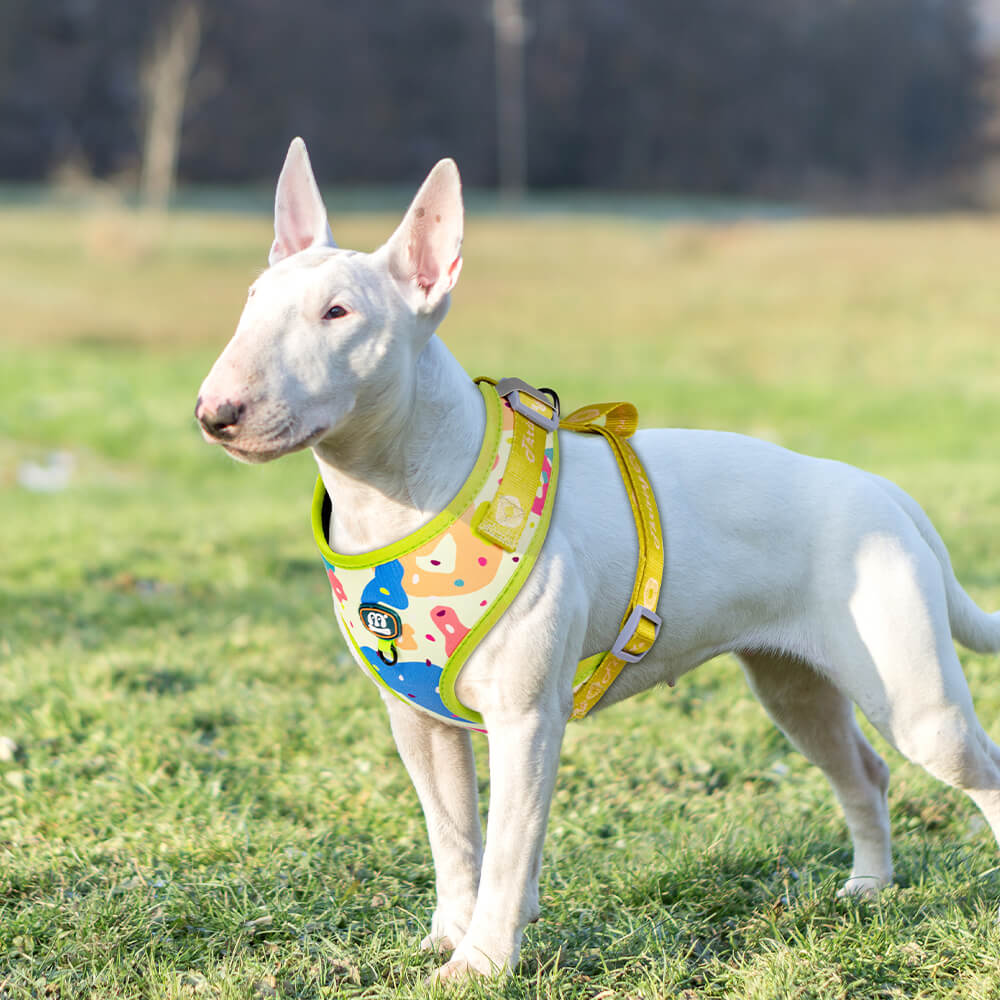 Dog Collar Harness Leash and Poop Bag Holder Walking Set