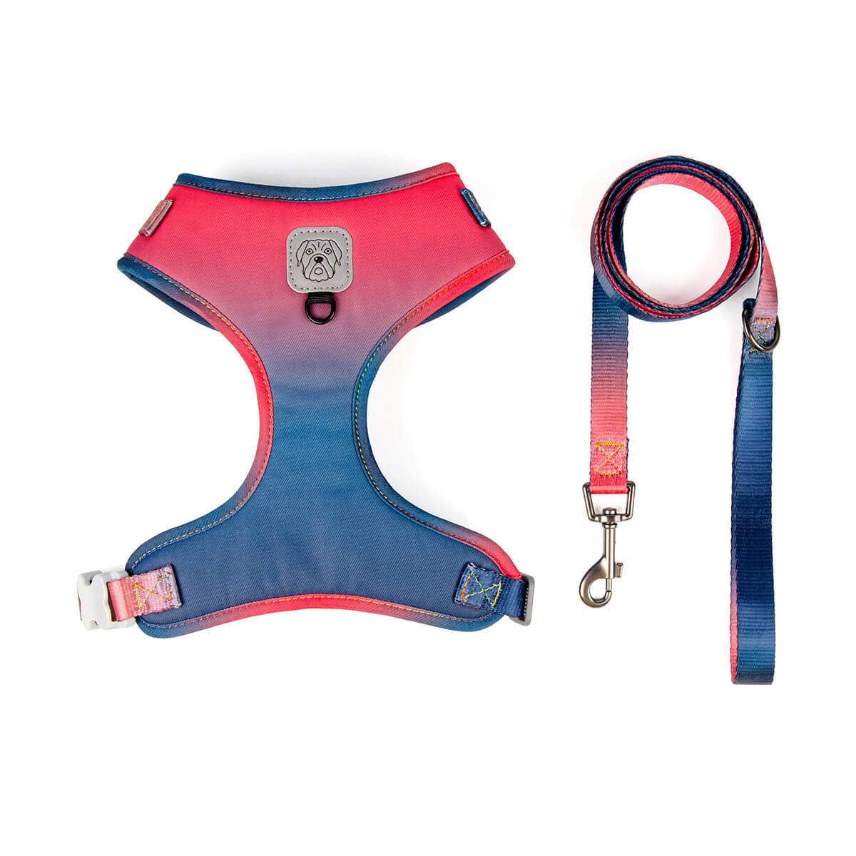 Gradient Ramp Dog Harness and Leash Set