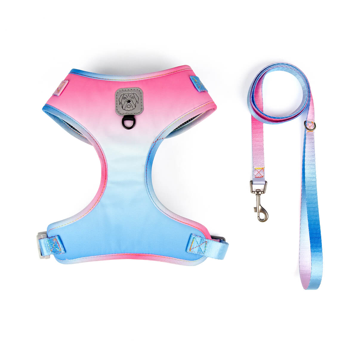 Gradient Ramp Dog Harness and Leash Set