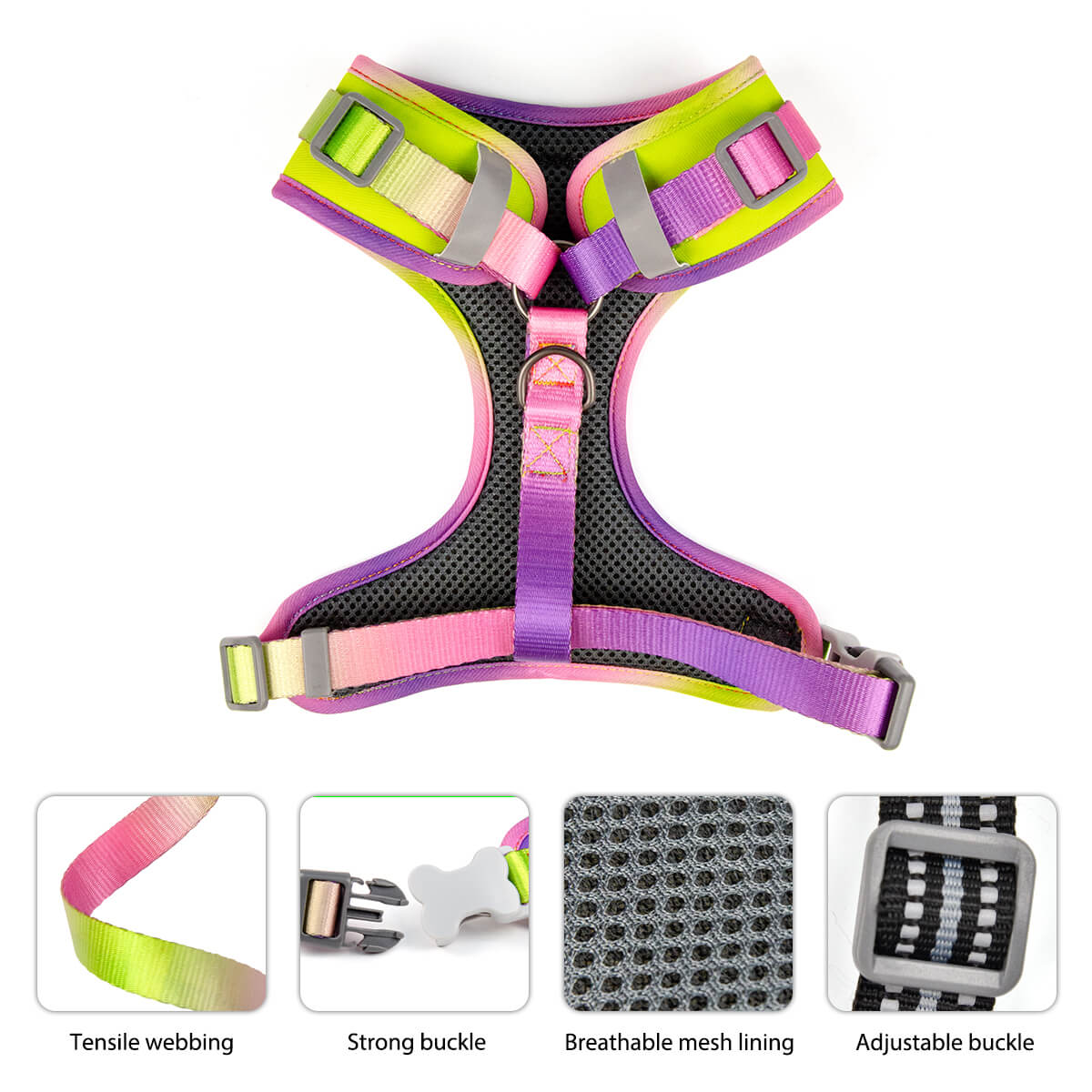 Gradient Ramp Dog Harness and Leash Set