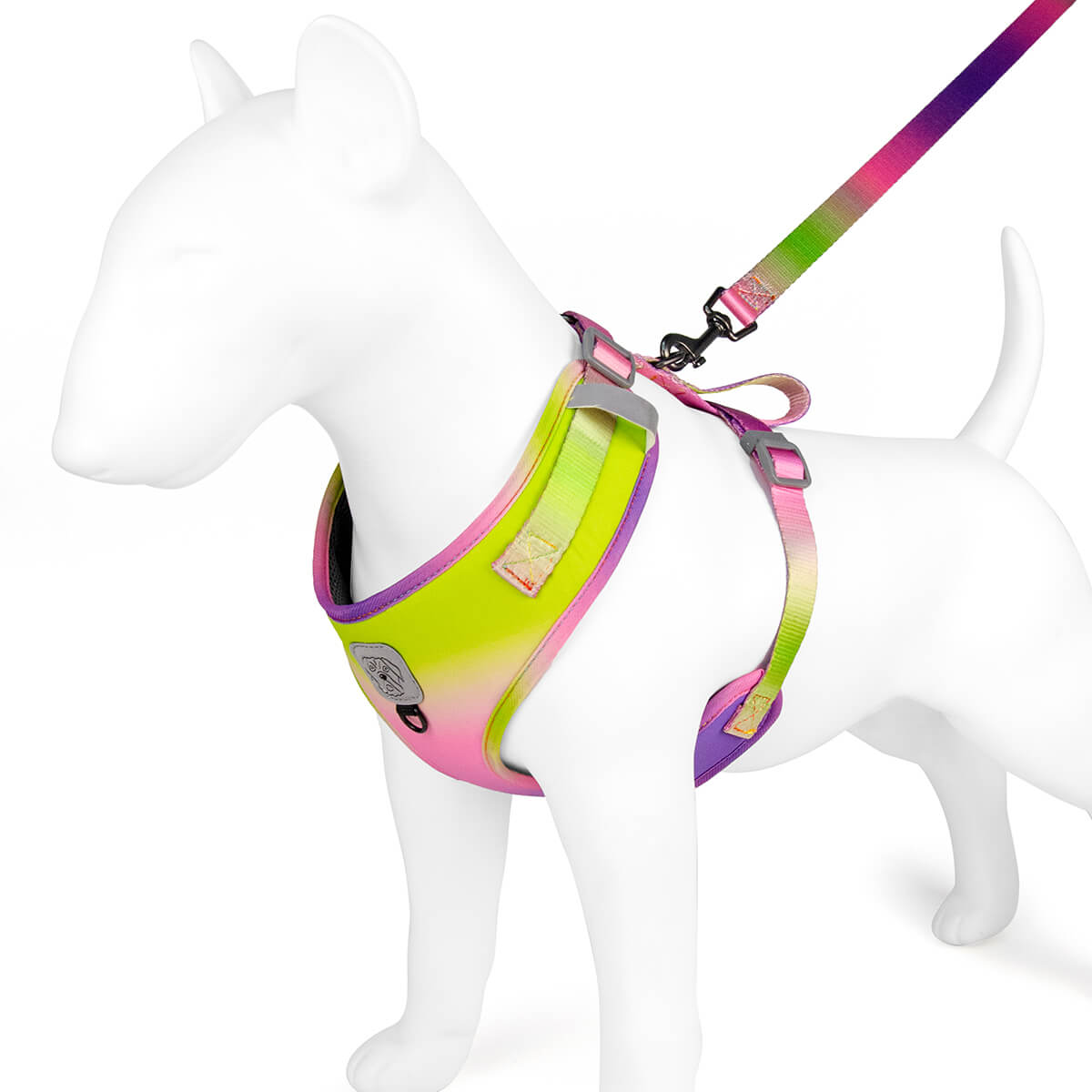 Gradient Ramp Dog Harness and Leash Set