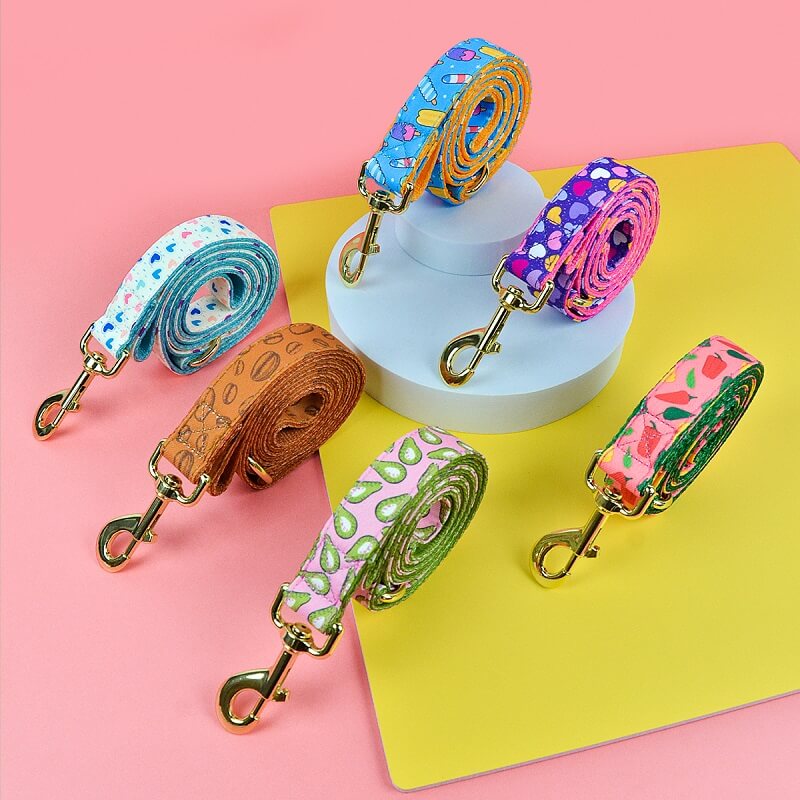 Dog Leash New Designer Pattern - Color Blooming Series