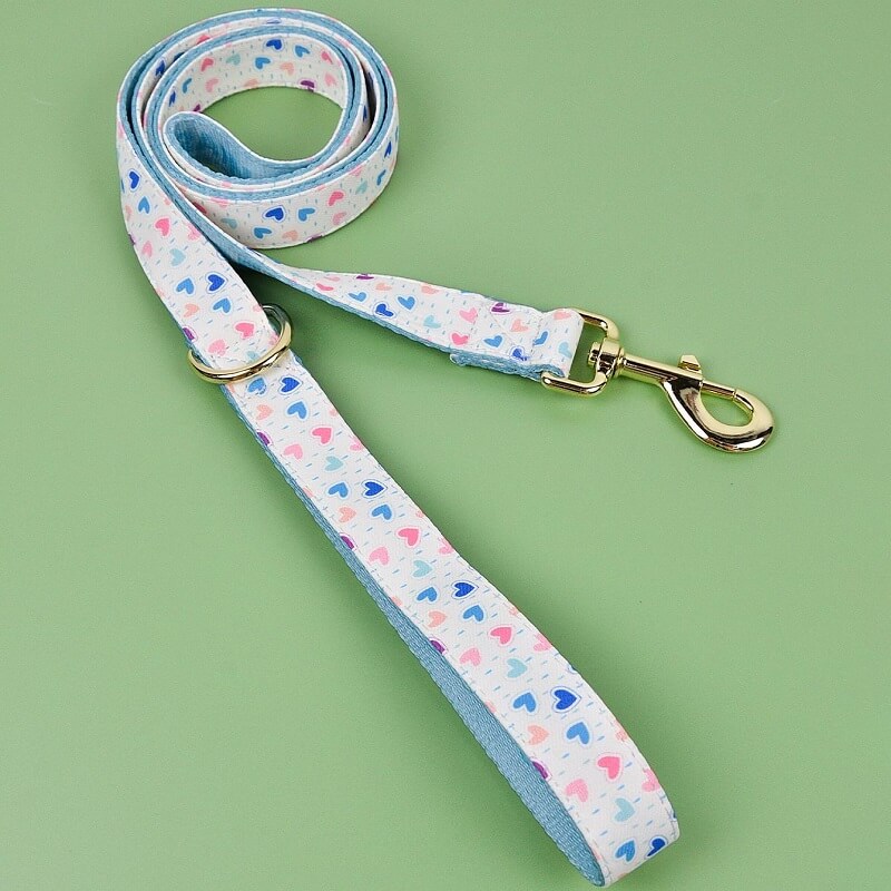 Dog Leash New Designer Pattern - Color Blooming Series