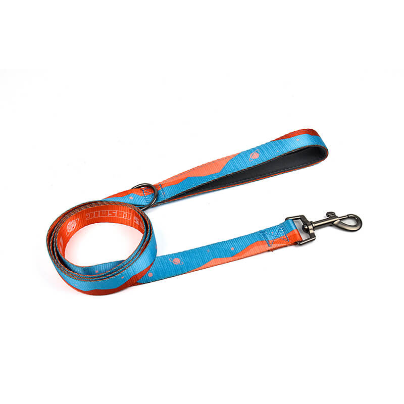 Crossing Cosmic Series Leash