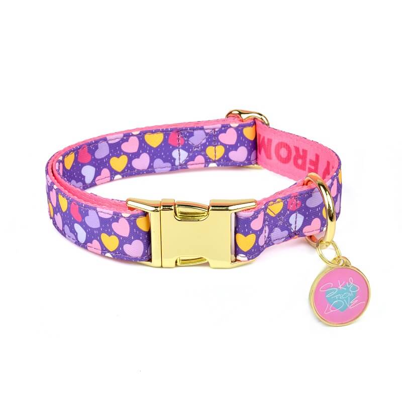 Dog Collar New Designer Pattern - Color Blooming Series