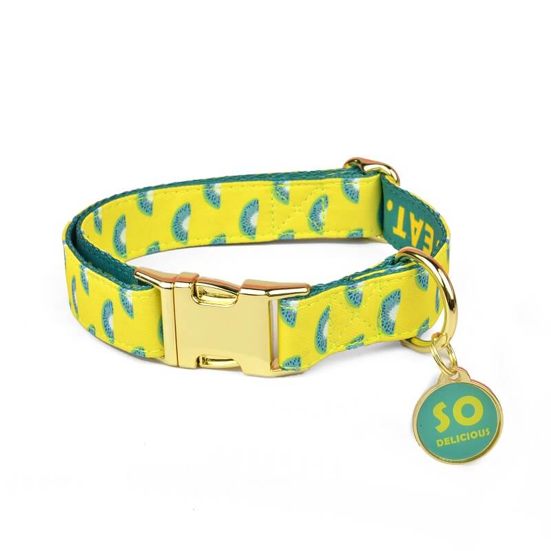 Dog Collar New Designer Pattern - Color Blooming Series