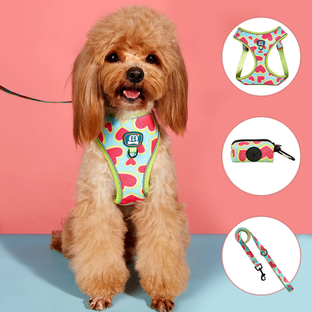 Cute Watermelon Heart Pattern Small Dog Harness Vest