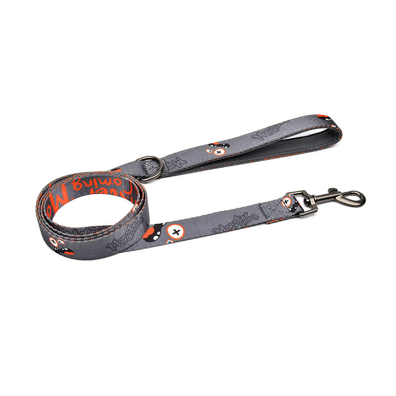 Monster is Coming Series Leash