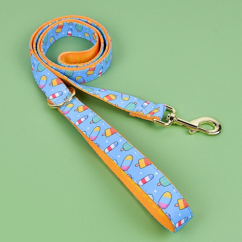 Dog Leash New Designer Pattern - Color Blooming Series