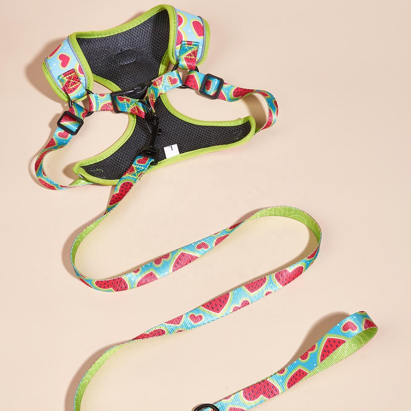 Cute Watermelon Heart Pattern Small Dog Harness Vest