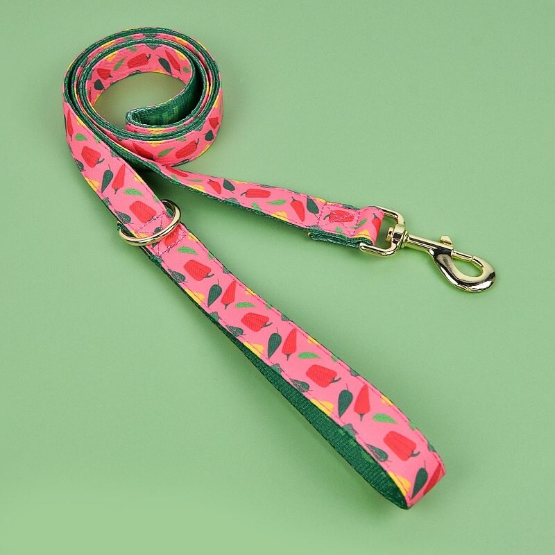 Dog Leash New Designer Pattern - Color Blooming Series