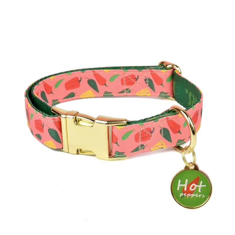 Dog Collar New Designer Pattern - Color Blooming Series