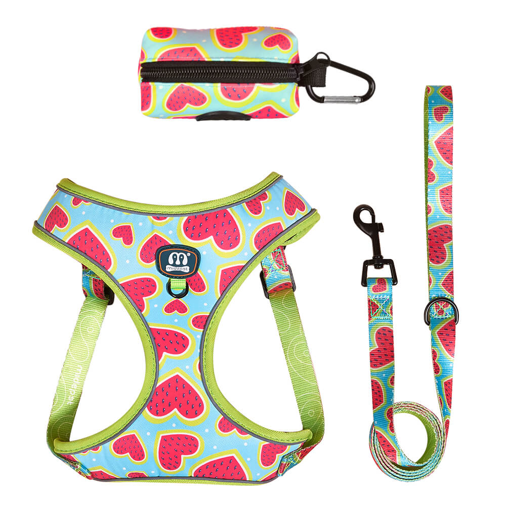 Cute Watermelon Heart Pattern Small Dog Harness Vest
