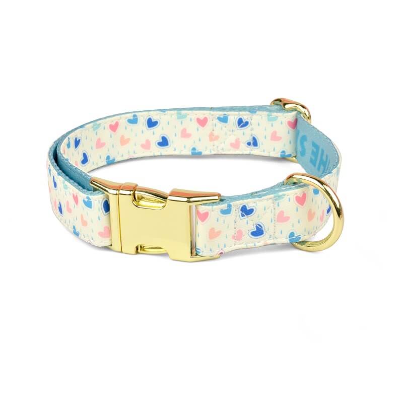 Dog Collar New Designer Pattern - Color Blooming Series