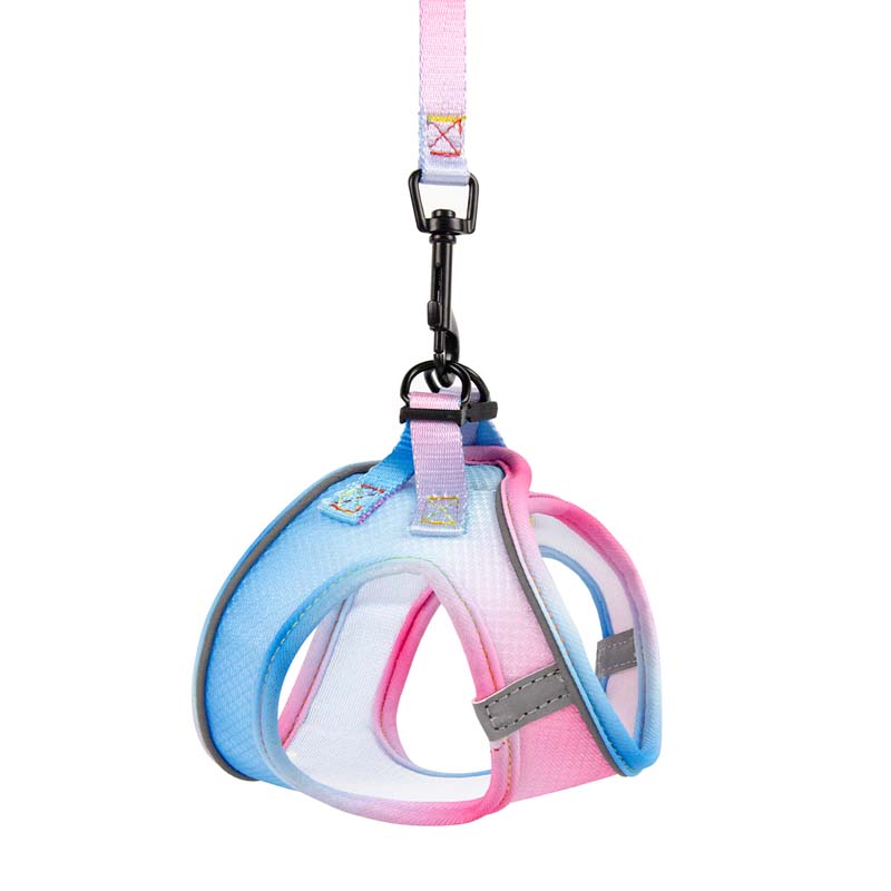 Gradient Color Design Pet Harness for Small Dogs Harness Vest with Dog Leash