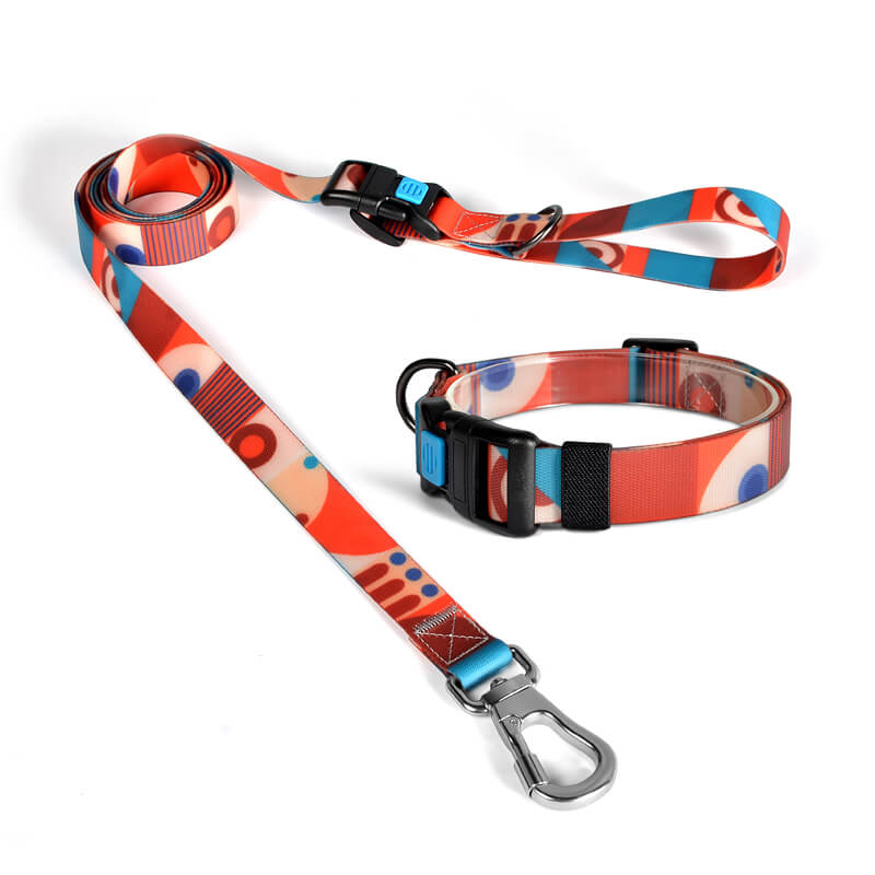 PVC Waterproof Dog Collar with Hands Free Dog Leash Set