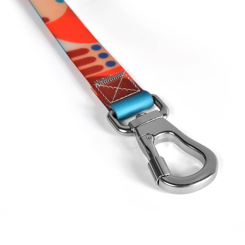 PVC Waterproof Dog Collar with Hands Free Dog Leash Set
