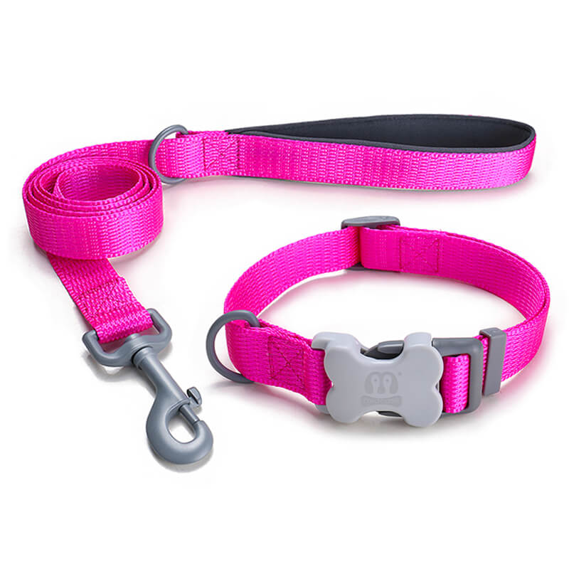 Nylon Dog leash and Collar Bone Shaped Buckle