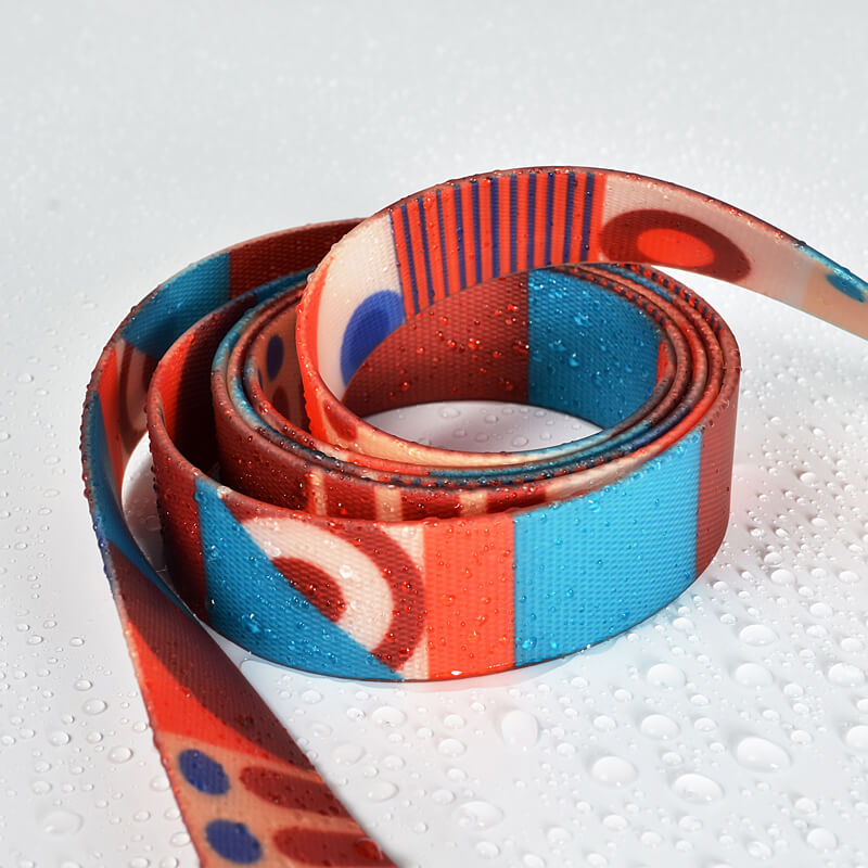 PVC Waterproof Dog Collar with Hands Free Dog Leash Set