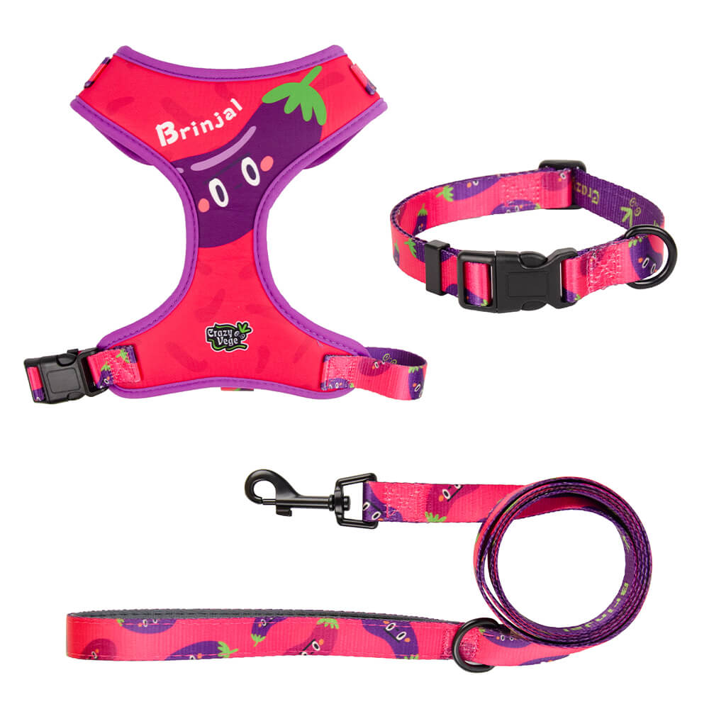 Designer Adjustable Dog Harness Set