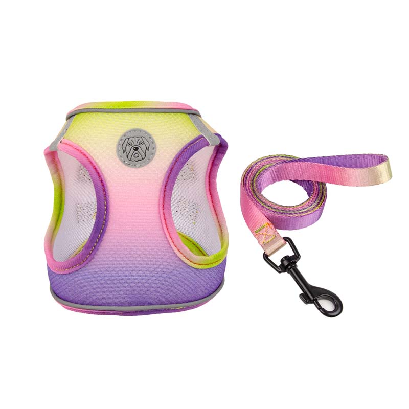 Gradient Color Design Pet Harness for Small Dogs Harness Vest with Dog Leash