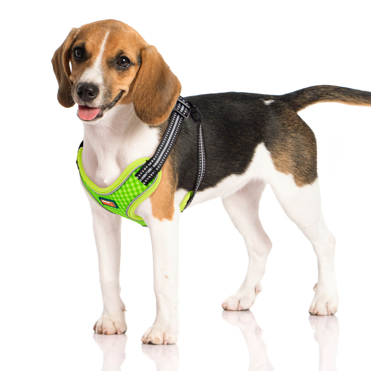 Cute Plaid Step in Dog Harness for Small Dogs