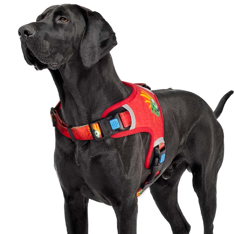 Monster is Coming Dog Harness for Large Dogs