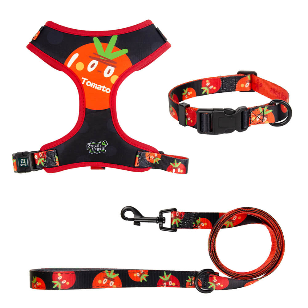 Designer Adjustable Dog Harness Set