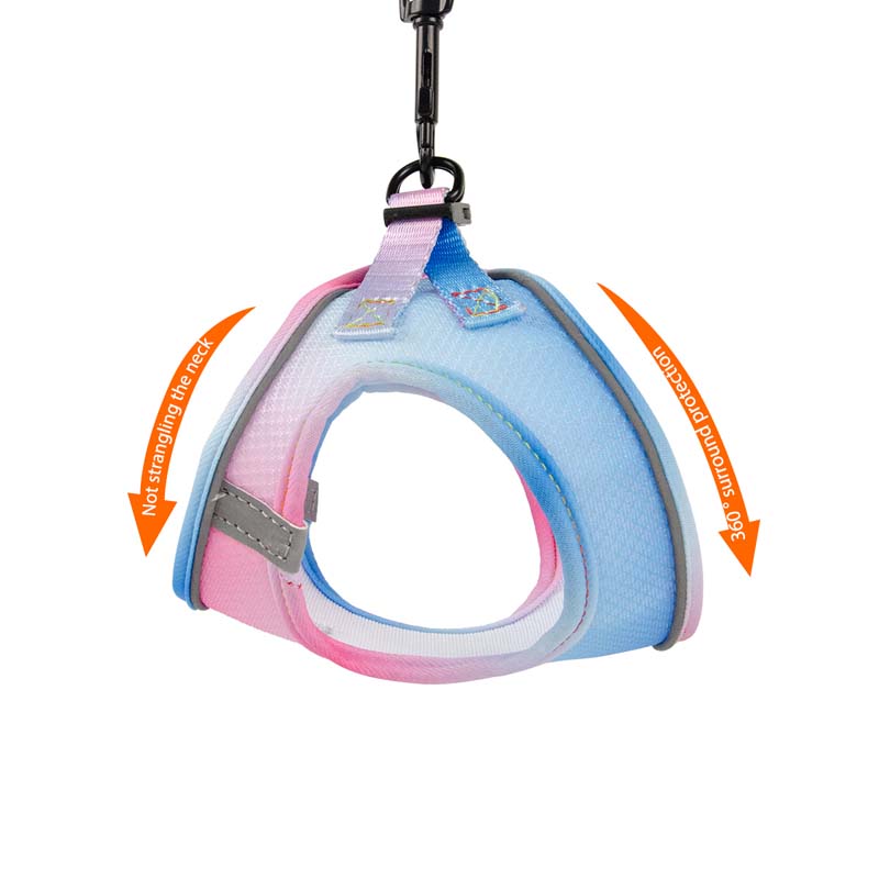 Gradient Color Design Pet Harness for Small Dogs Harness Vest with Dog Leash