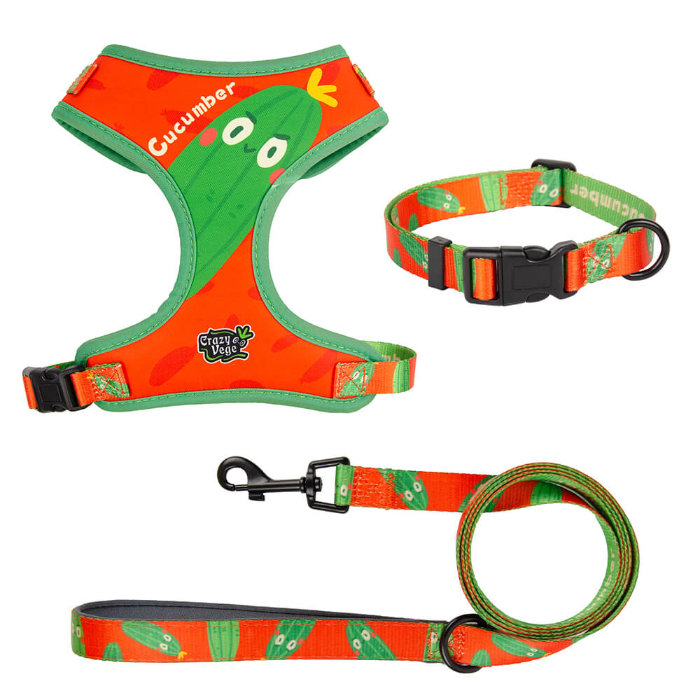 Designer Adjustable Dog Harness Set