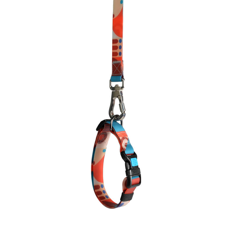 PVC Waterproof Dog Collar with Hands Free Dog Leash Set