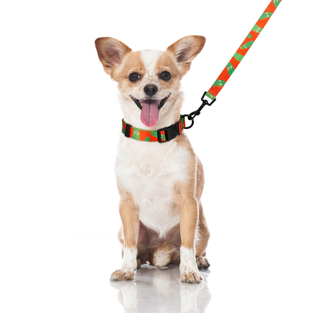 Designer Adjustable Dog Harness Set