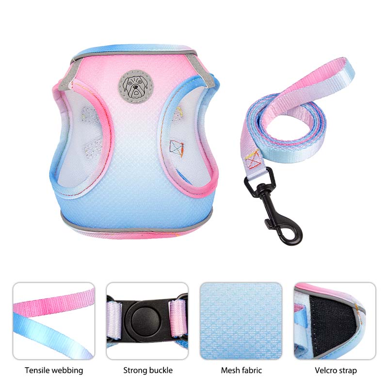 Gradient Color Design Pet Harness for Small Dogs Harness Vest with Dog Leash