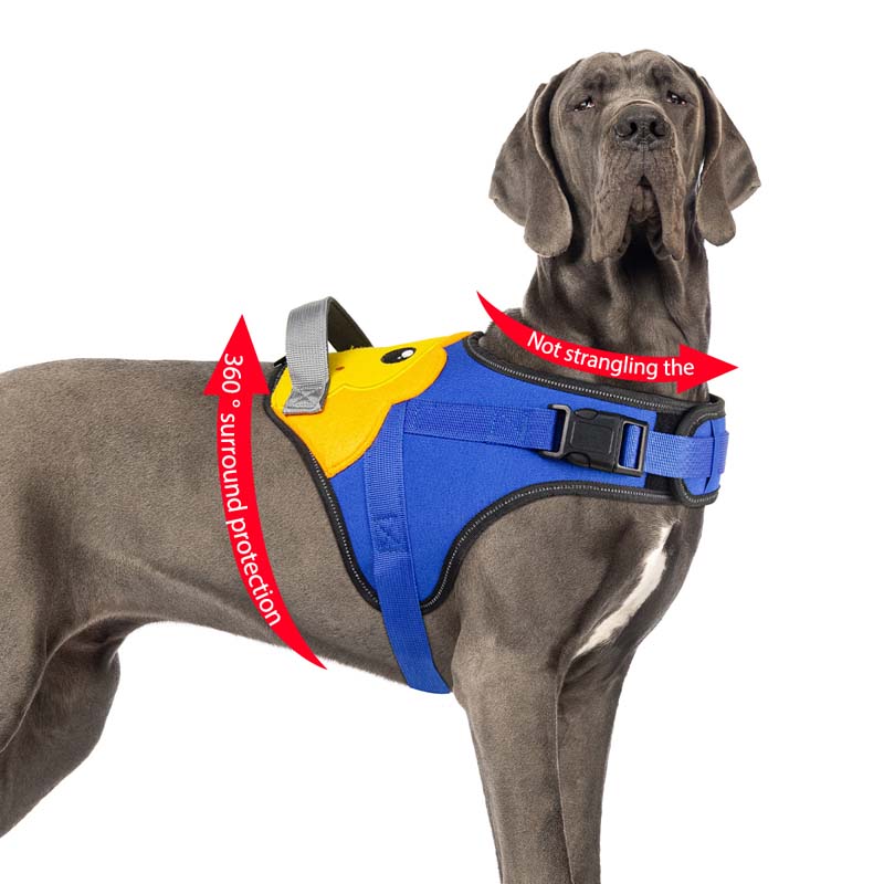 Animal Print Large Dog Harness with Handle