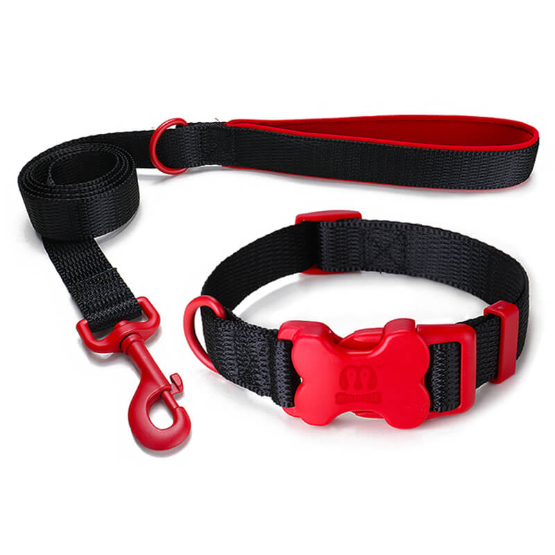 Nylon Dog leash and Collar Bone Shaped Buckle