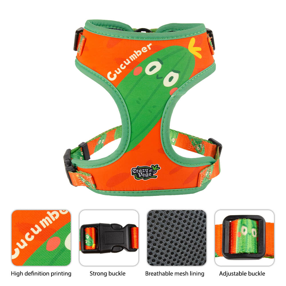 Designer Adjustable Dog Harness Set