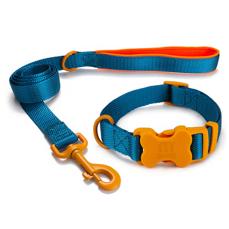 Nylon Dog leash and Collar Bone Shaped Buckle
