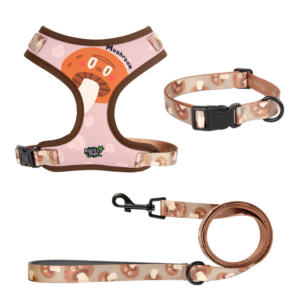 Designer Adjustable Dog Harness Set