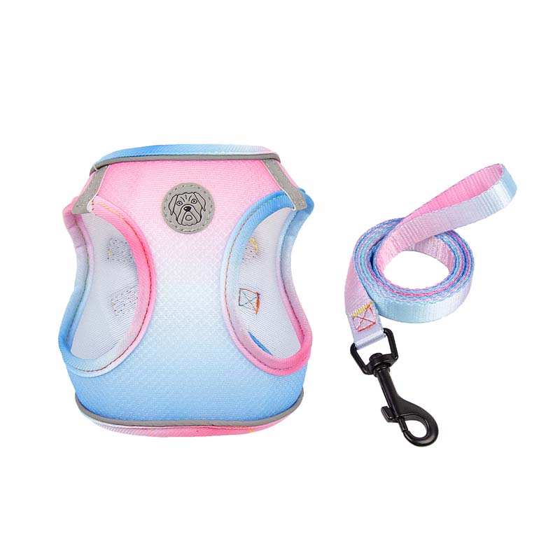 Gradient Color Design Pet Harness for Small Dogs Harness Vest with Dog Leash