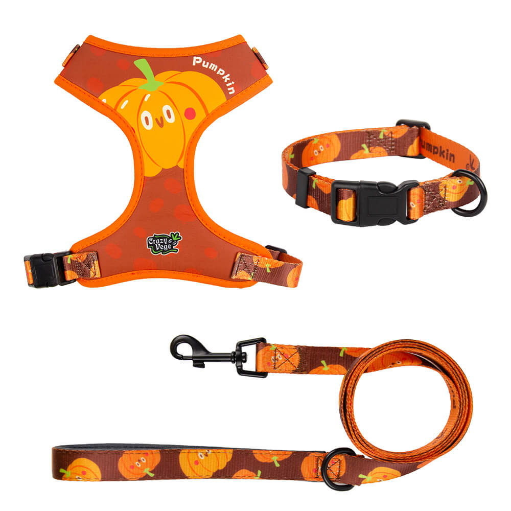 Designer Adjustable Dog Harness Set
