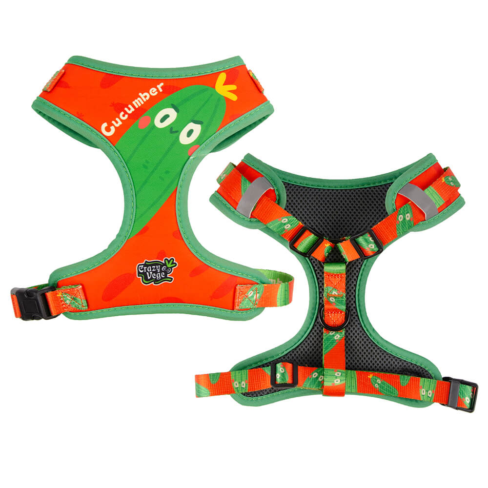 Designer Adjustable Dog Harness Set