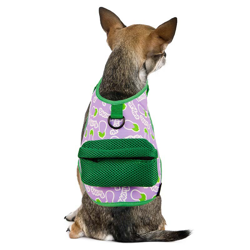 Cute Vegetable Dog Harenss With Poop Bag Holder