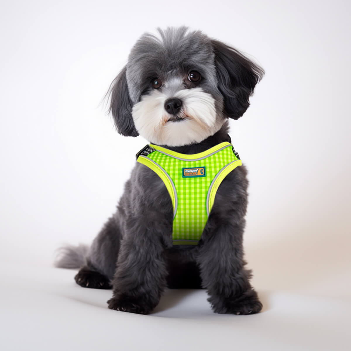 Cute Plaid Step in Dog Harness for Small Dogs
