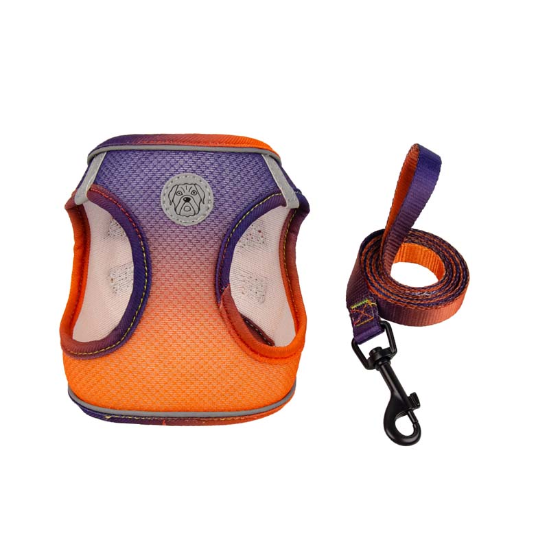 Gradient Color Design Pet Harness for Small Dogs Harness Vest with Dog Leash