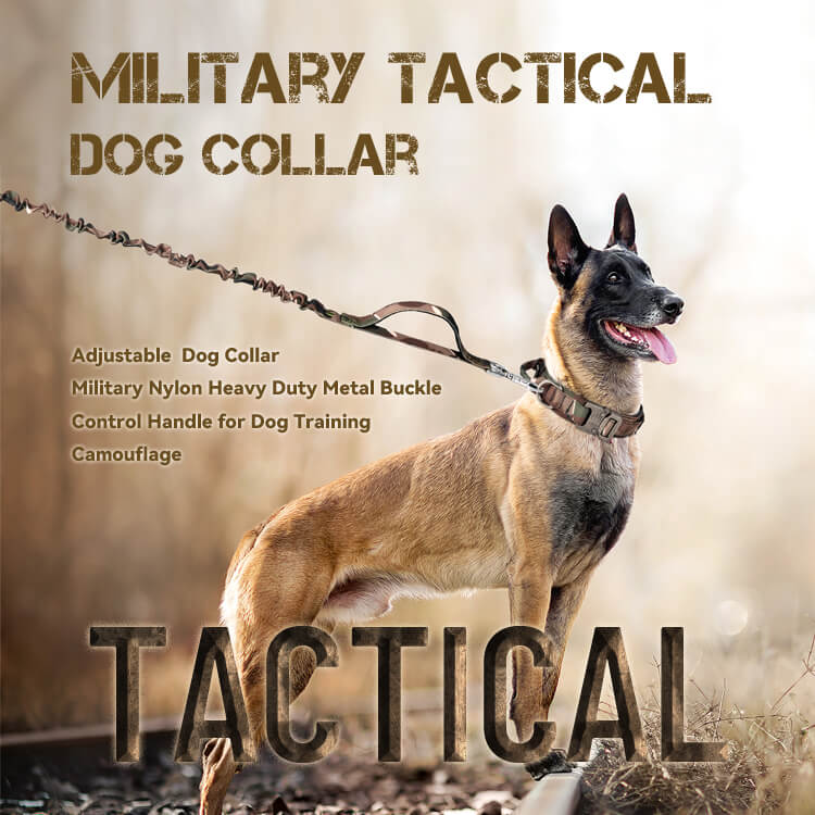 Tactical Double Handle Dog Leash and Collar