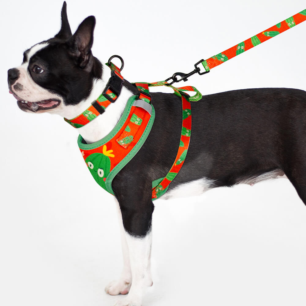 Designer Adjustable Dog Harness Set