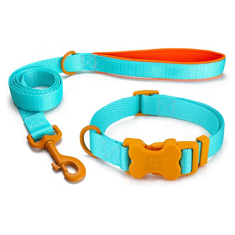Nylon Dog leash and Collar Bone Shaped Buckle