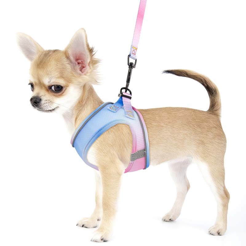 Gradient Color Design Pet Harness for Small Dogs Harness Vest with Dog Leash