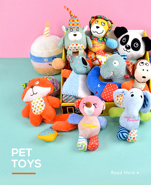 Toys & Accessories
